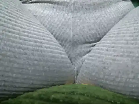 Darkplay extreme online show from 12/17/25, 11:32