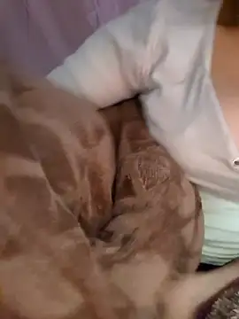 Nana-bar online show from 11/24/25, 03:01