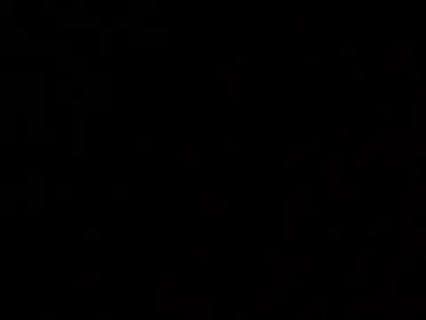 Kushzin online show from 06/16/26, 08:03