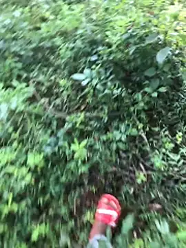 kavi1q1 online show from 01/17/26, 04:38