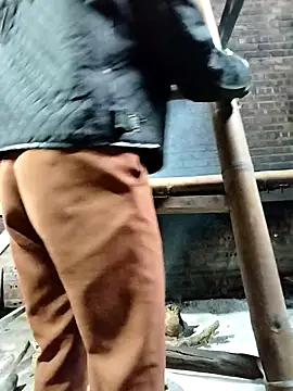 Snapshot of Sinejdk3 chatting on 10/24/25, 08:13 Sinejdk3 online show from 10/24/25, 08:13