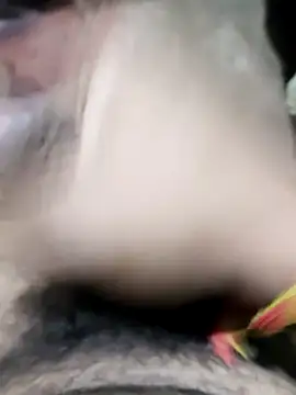 modelmanr online show from 04/08/26, 06:31