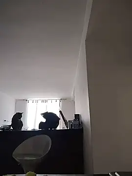 Juann-cock online show from 03/11/26, 02:22