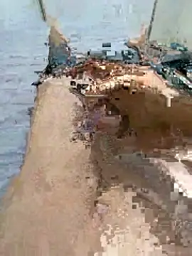 wrdew online show from 01/13/26, 04:05