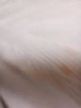 sulove xx online show from 03/31/26, 11:40