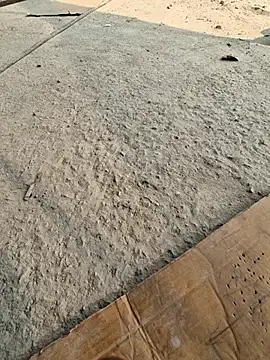 UP16LT5355 online show from 11/23/25, 07:40