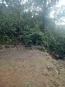 quynhkoolbae online show from 02/21/26, 12:45