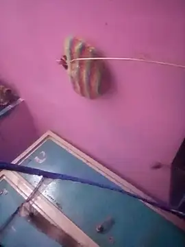 TINASONI online show from 11/16/25, 01:32