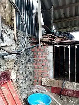 linda bae00 online show from 02/26/26, 12:43