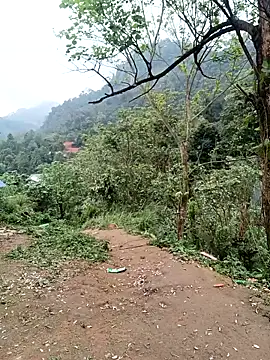 linda bae00 online show from 03/06/26, 09:04