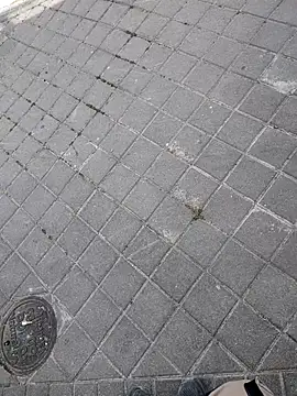 xxxfeo online show from 04/09/26, 12:00