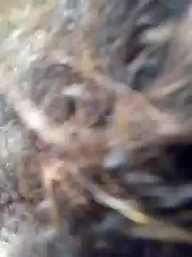 Missparis online show from 11/14/25, 08:56