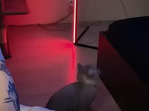 Snapshot of davesinner chatting on 03/01/26, 09:42 davesinner online show from 03/01/26, 09:42