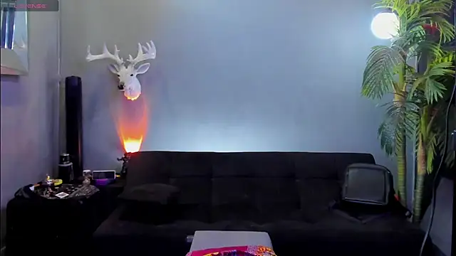 dennis cox1 online show from 02/14/26, 07:58