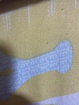 Snapshot of HaltBrand chatting on 11/17/25, 12:36 HaltBrand online show from 11/17/25, 12:36