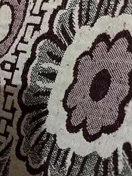 Snapshot of HaltBrand chatting on 11/10/25, 12:48 HaltBrand online show from 11/10/25, 12:48