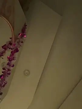 Snapshot of HaltBrand chatting on 03/01/26, 09:09 HaltBrand online show from 03/01/26, 09:09