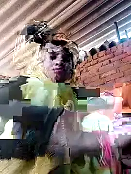 Soniya pandit online show from 09/09/25, 03:49