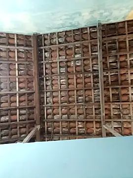 NegroAracaju online show from 04/19/26, 12:11