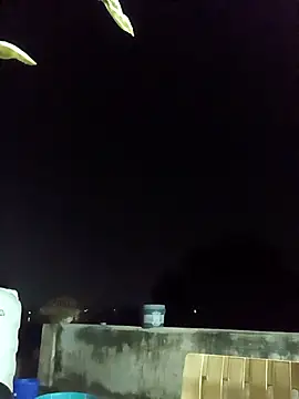 96rose online show from 10/16/25, 02:14