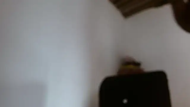 Snapshot of DaiishaWolf chatting on 05/28/26, 07:42 DaiishaWolf online show from 05/28/26, 07:42