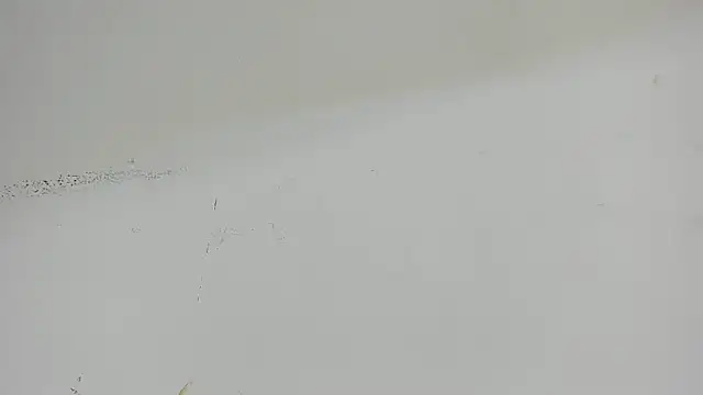 Aisha hotts777 online show from 04/08/26, 03:41