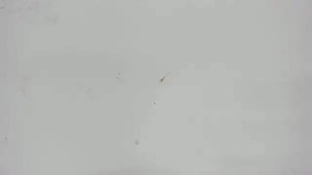 Aisha hotts777 online show from 04/15/26, 03:12