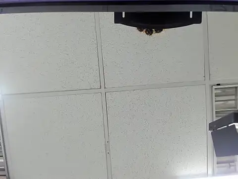 Aisha hotts777 online show from 03/20/26, 02:45