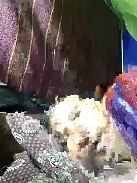 ResponsibleGuide2 online show from 11/13/25, 12:31