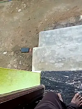 dolphiinn online show from 11/01/25, 12:50