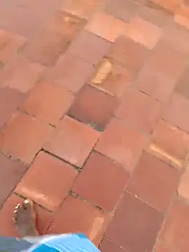 dolphiinn online show from 10/19/25, 01:30