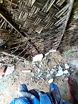 dolphiinn online show from 11/30/25, 04:35