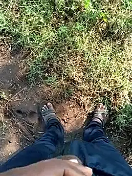 dolphiinn online show from 02/25/26, 03:18