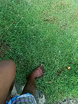 dolphiinn online show from 11/07/25, 02:27