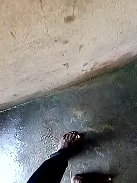 dolphiinn online show from 12/03/25, 01:39