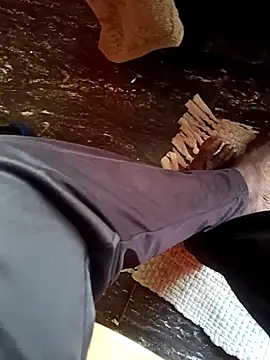 dolphiinn online show from 11/26/25, 02:11