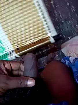 dolphiinn online show from 11/24/25, 01:11