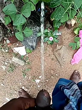 dolphiinn online show from 11/10/25, 06:51