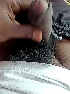 dolphiinn online show from 12/05/25, 04:55