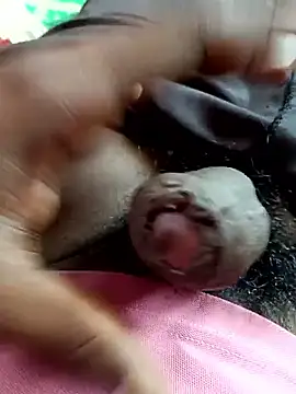 dolphiinn online show from 11/04/25, 05:33