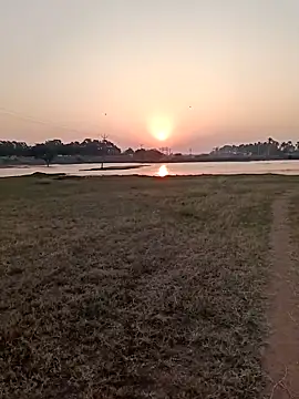 dolphiinn online show from 02/12/26, 01:27