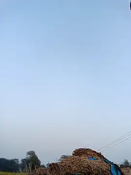 Snapshot of Pinky12A chatting on 01/12/26, 11:39 Pinky12A online show from 01/12/26, 11:39