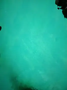 Snapshot of Arti13A chatting on 01/17/26, 03:15 Arti13A online show from 01/17/26, 03:15