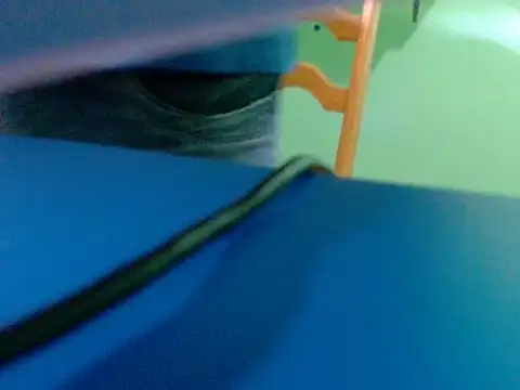 pau888kkkk online show from 09/30/25, 10:32