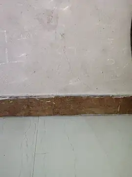 p0a8 online show from 11/22/25, 05:12