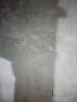 milo123-xx online show from 02/08/26, 02:48