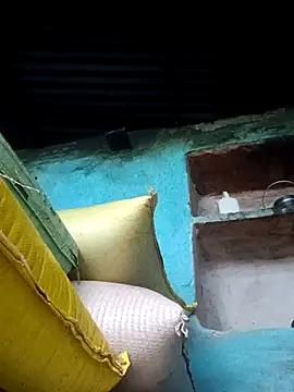 Dikchahot online show from 10/30/25, 02:43