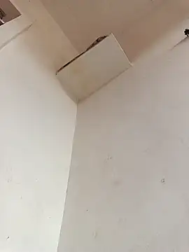 Dikchahot online show from 11/11/25, 10:21