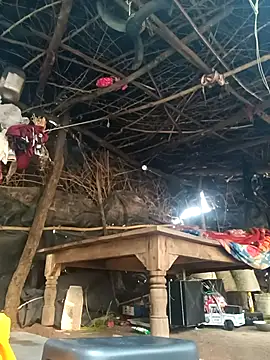 Snapshot of cute_diya_12 chatting on 11/18/25, 03:32 cute diya 12 online show from 11/18/25, 03:32