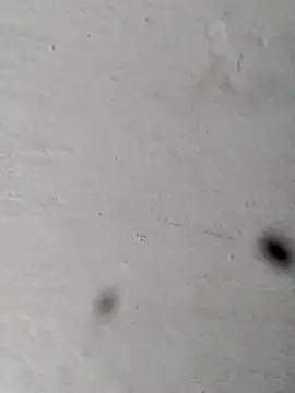 Mollysdick online show from 04/16/26, 01:45